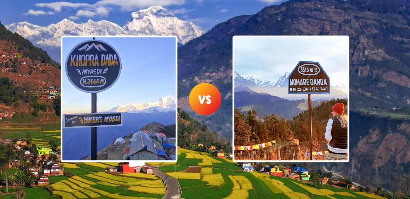 Khopra Danda Trek vs Mohare Danda Trek: Which Trek is Right for You?